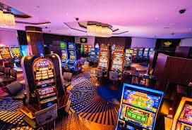 c545566